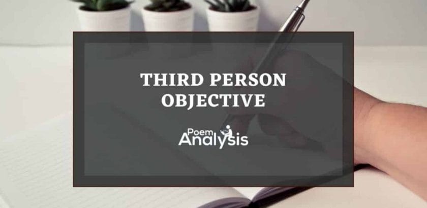 Third Person Objective definition and examples