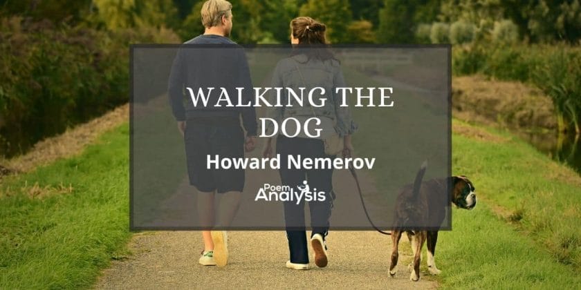 Walking the Dog by Howard Nemerov