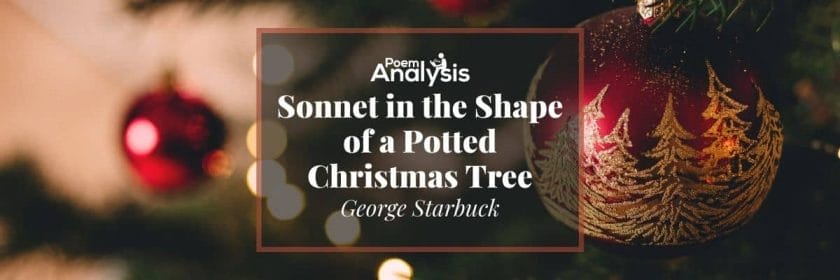 Sonnet in the Shape of a Potted Christmas Tree by George Starbuck