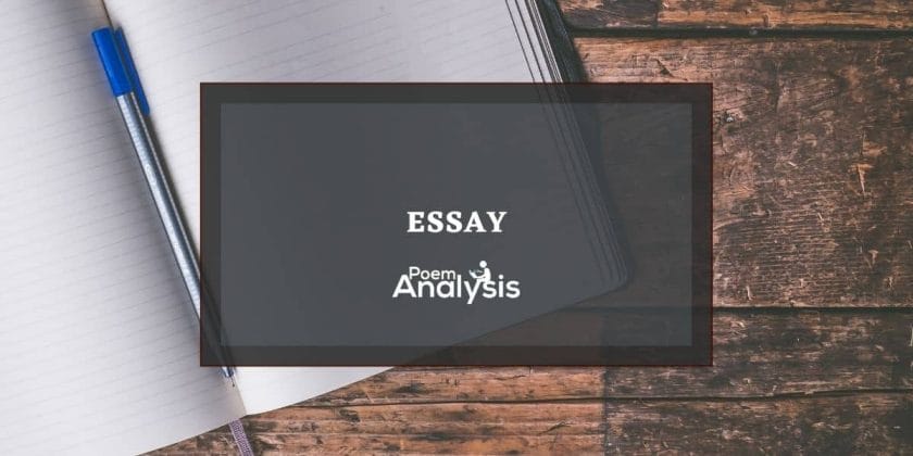 Essay definition and examples