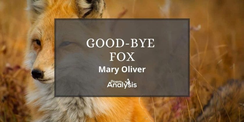 Good-bye Fox by Mary Oliver