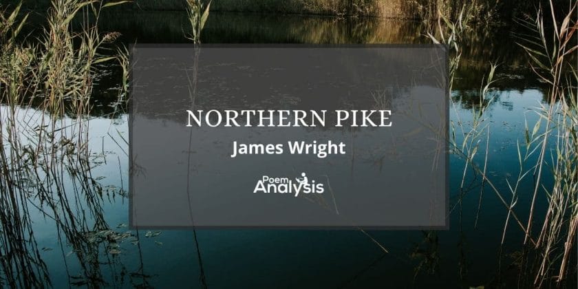 Northern Pike by James Wright