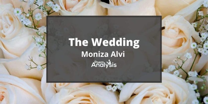 The Wedding by Moniza Alvi
