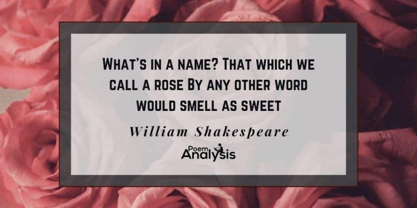 A rose by any other name would smell as sweet meaning