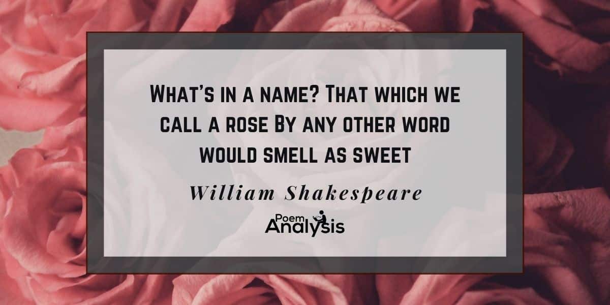 whats in a name poem