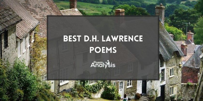 Best D.H. Lawrence Poems