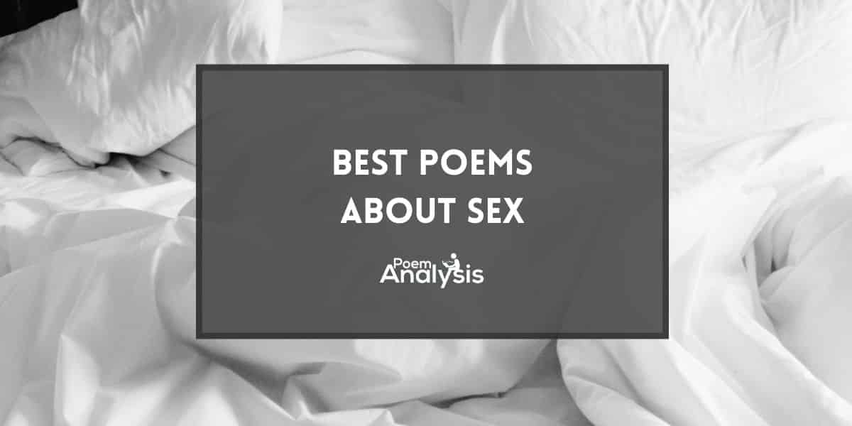 10 Of The Best Poems About Sex Poem Analysis 
