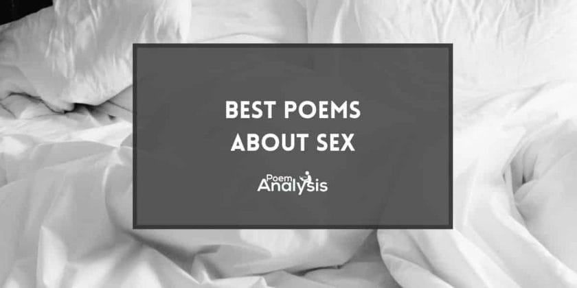 Best Poems About Sex