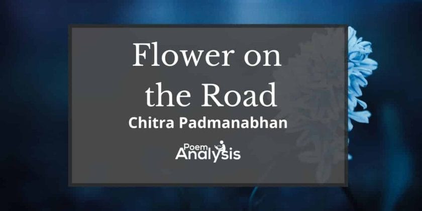 Flower On the Road by Chitra Padmanabhan