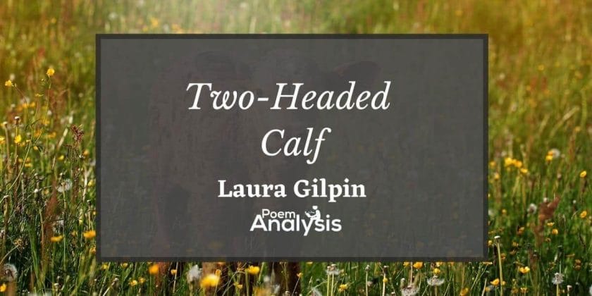 Two-Headed Calf by Laura Gilpin
