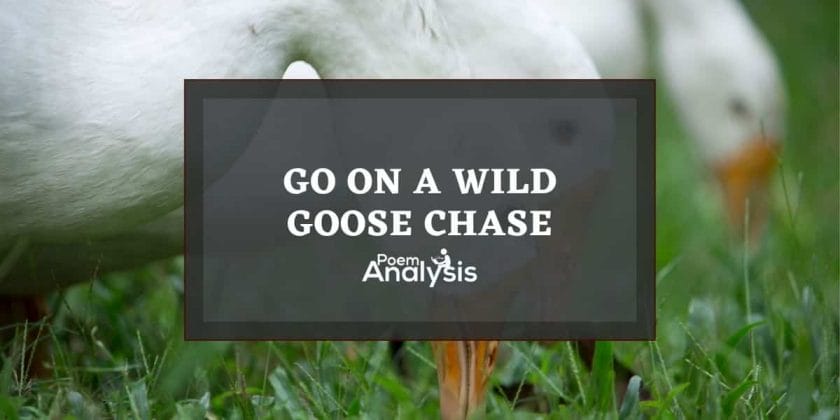 Wild goose chat meaning and origins
