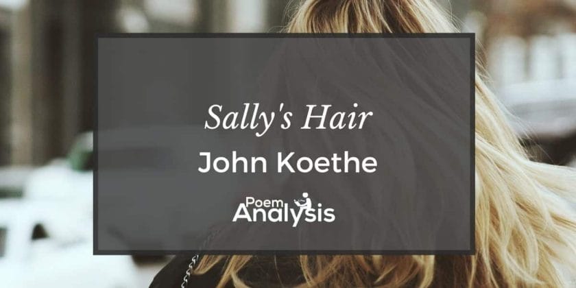 Sally's Hair by John Koethe