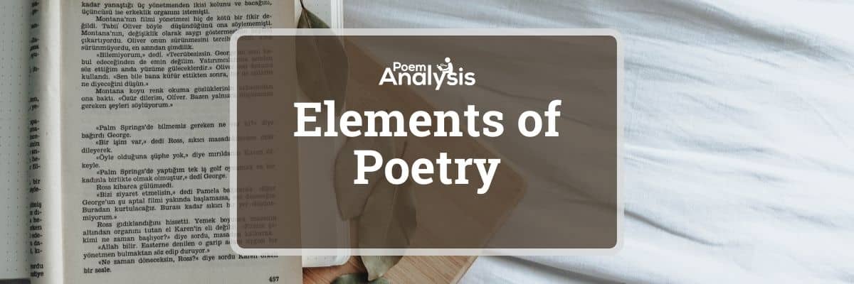 the study of poetry analysis