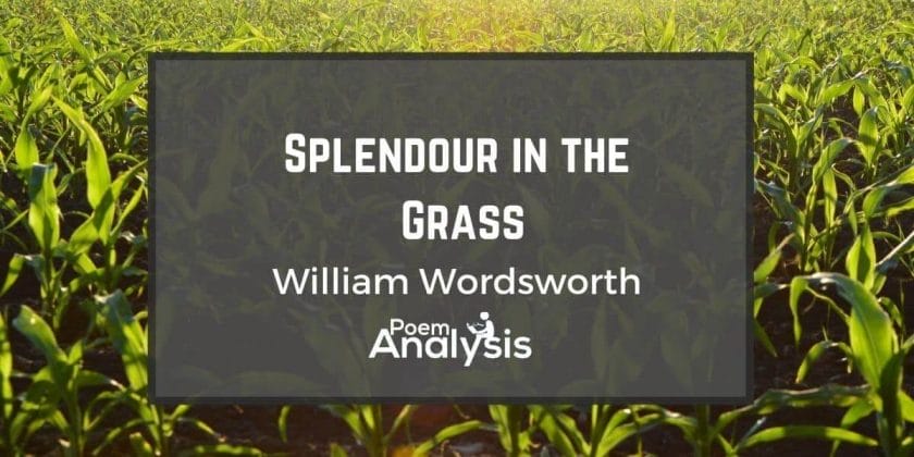 Splendour in the Grass by William Wordsworth
