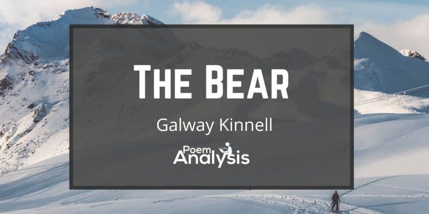 The Bear by Galway Kinnell