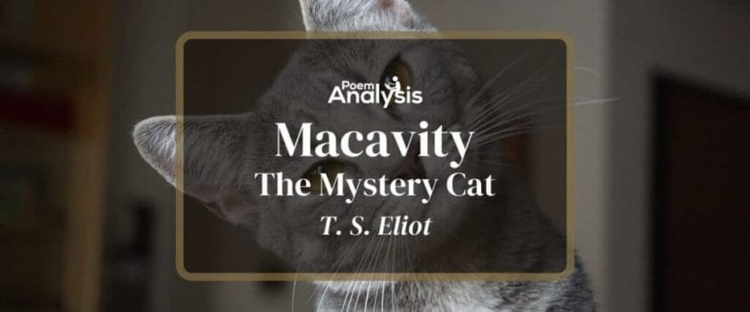 Macavity: The Mystery Cat by T. S. Eliot