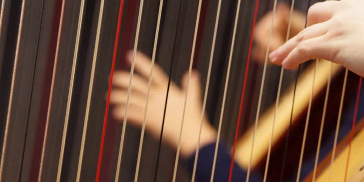 The Ballad of the Harp-Weaver 