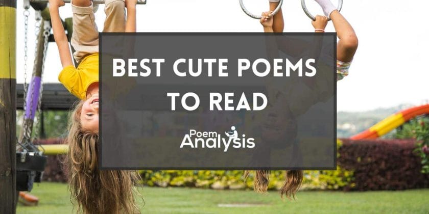 Best Cute Poems to Read