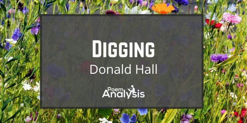 Digging by Donald Hall