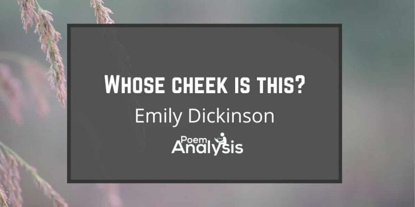 Whose cheek is this? by Emily Dickinson
