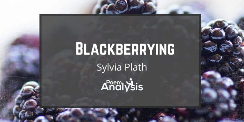 Blackberrying by Sylvia Plath
