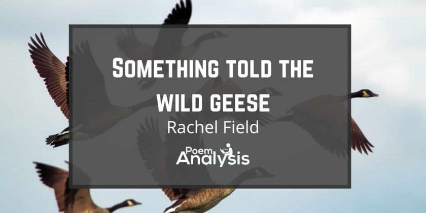 Something Told the Wild Geese by Rachel Field