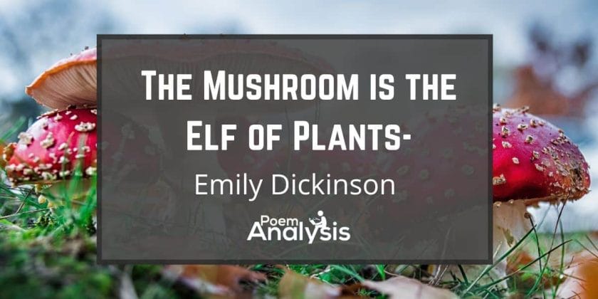 The Mushroom is the Elf of Plants- by Emily Dickinson