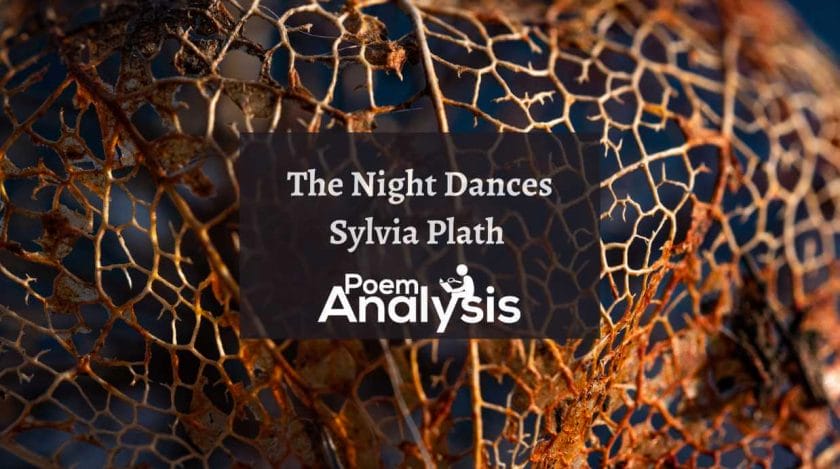 The Night Dances by Sylvia Plath