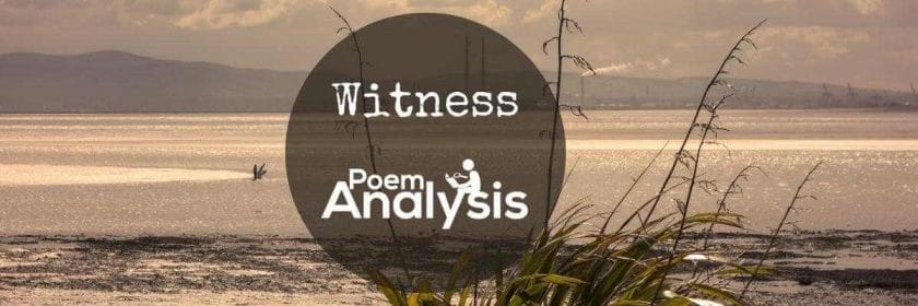 Witness- by Eavan Boland
