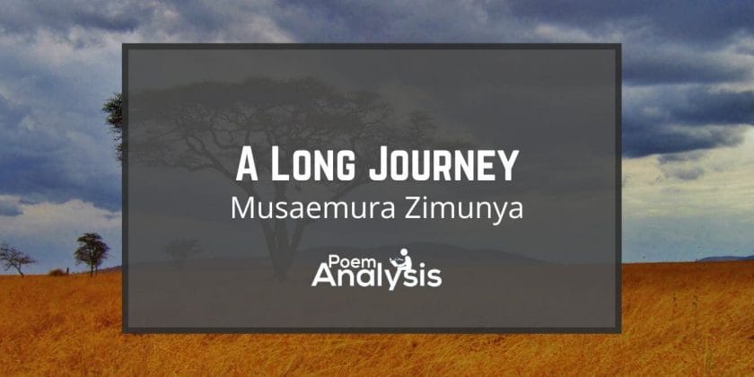 A Long Journey by Musaemura Zimunya