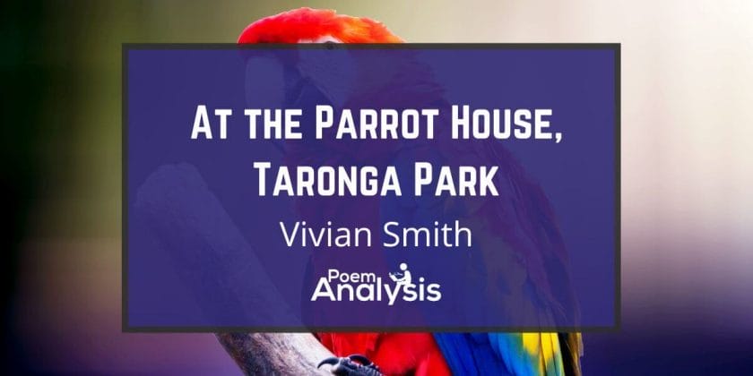 At the Parrot House, Taronga Park by Vivian Smith