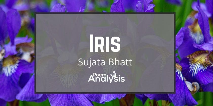 Iris by Sujata Bhatt