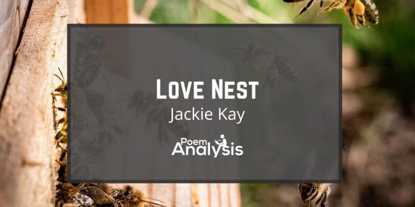 Love Nest by Jackie Kay
