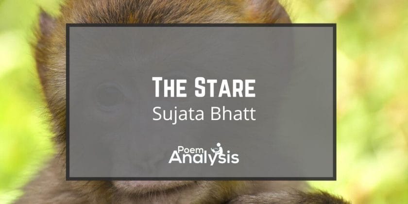 The Stare by Sujata Bhatt
