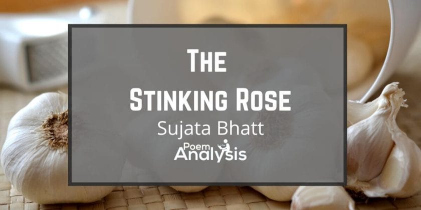 The Stinking Rose by Sujata Bhatt