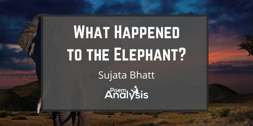 What Happened to the Elephant? by Sujata Bhatt