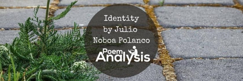 Identity by Julio Noboa Polanco
