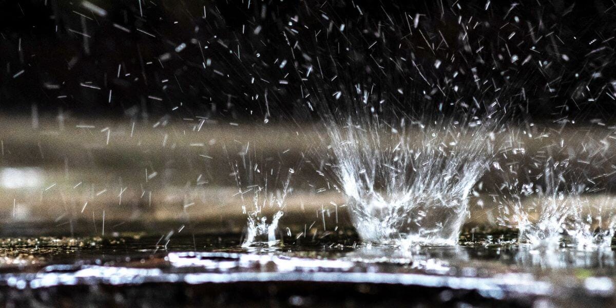 Winter Rain by Christina Rossetti