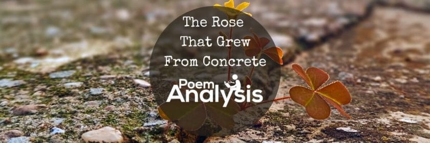 The Rose That Grew From Concrete by Tupac Shakur