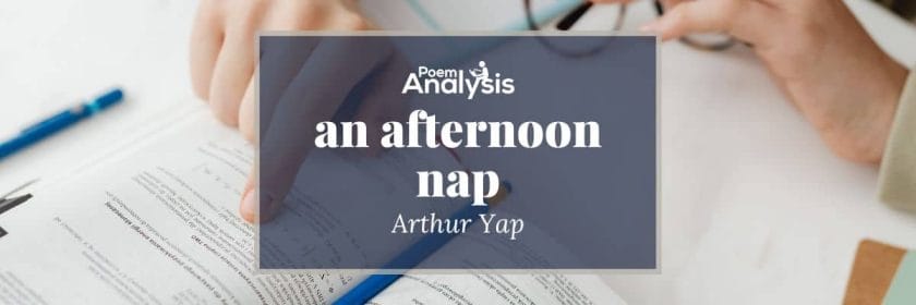 an afternoon nap by Arthur Yap