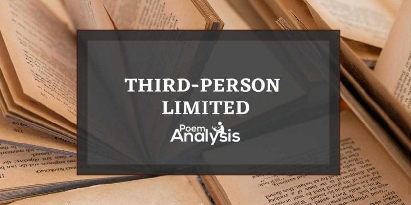 Third-Person Limited Perspective Definition and Examples