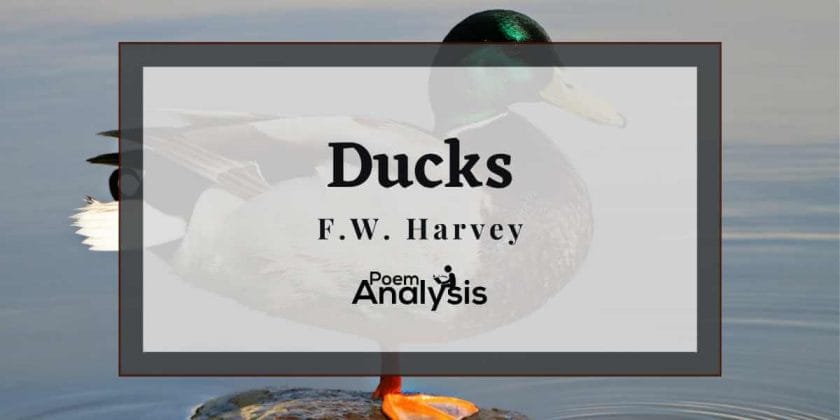 Ducks by F.W. Harvey