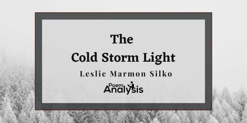 In Cold Storm Light by Leslie Marmon Silko